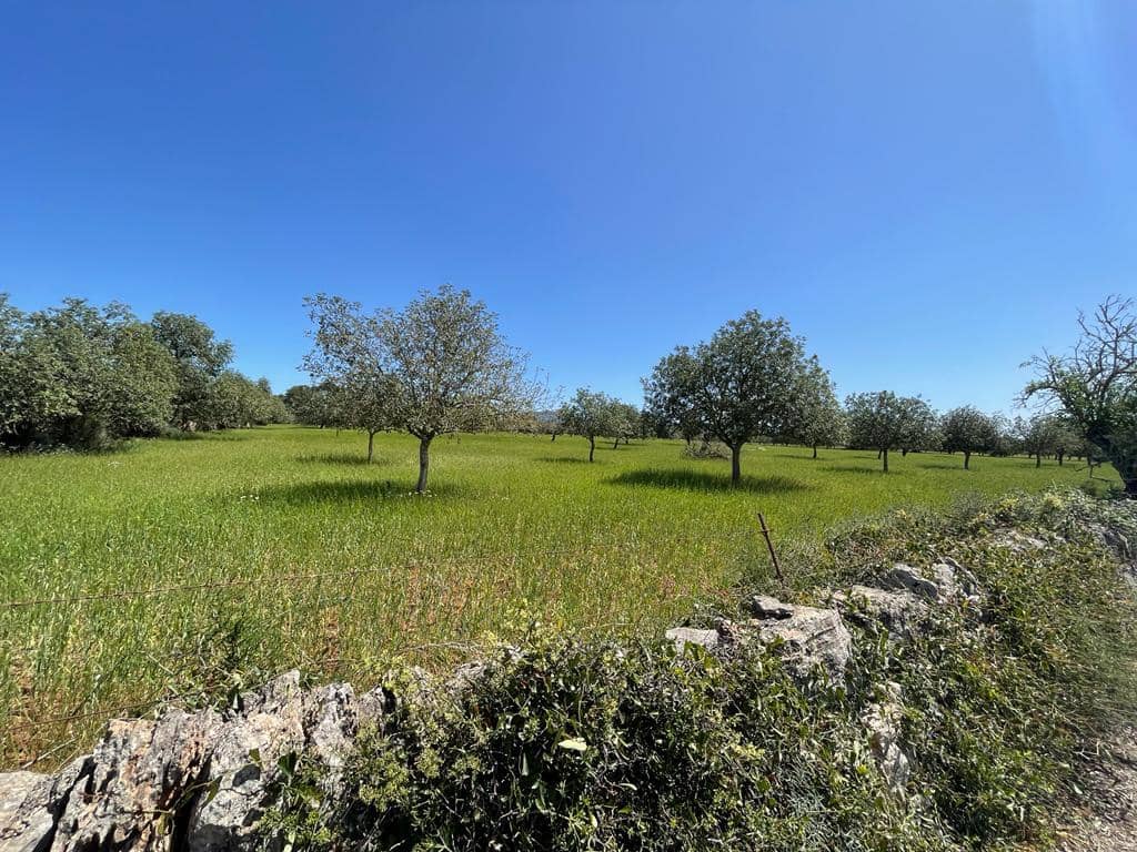 6 chambre Finca/Maison de Campagne à vendre à Felanitx avec garage - 1 900 000 € (Ref: 6826827)