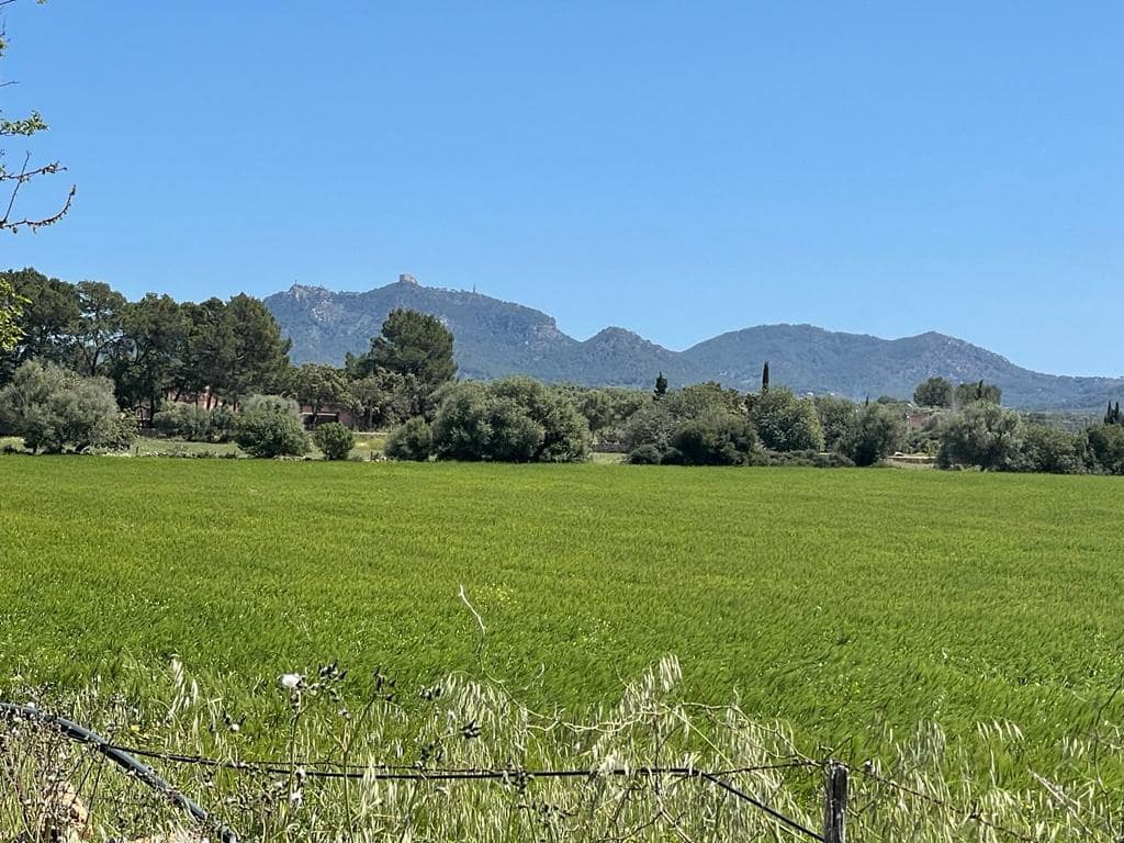 6 chambre Finca/Maison de Campagne à vendre à Felanitx avec garage - 1 900 000 € (Ref: 6826827)