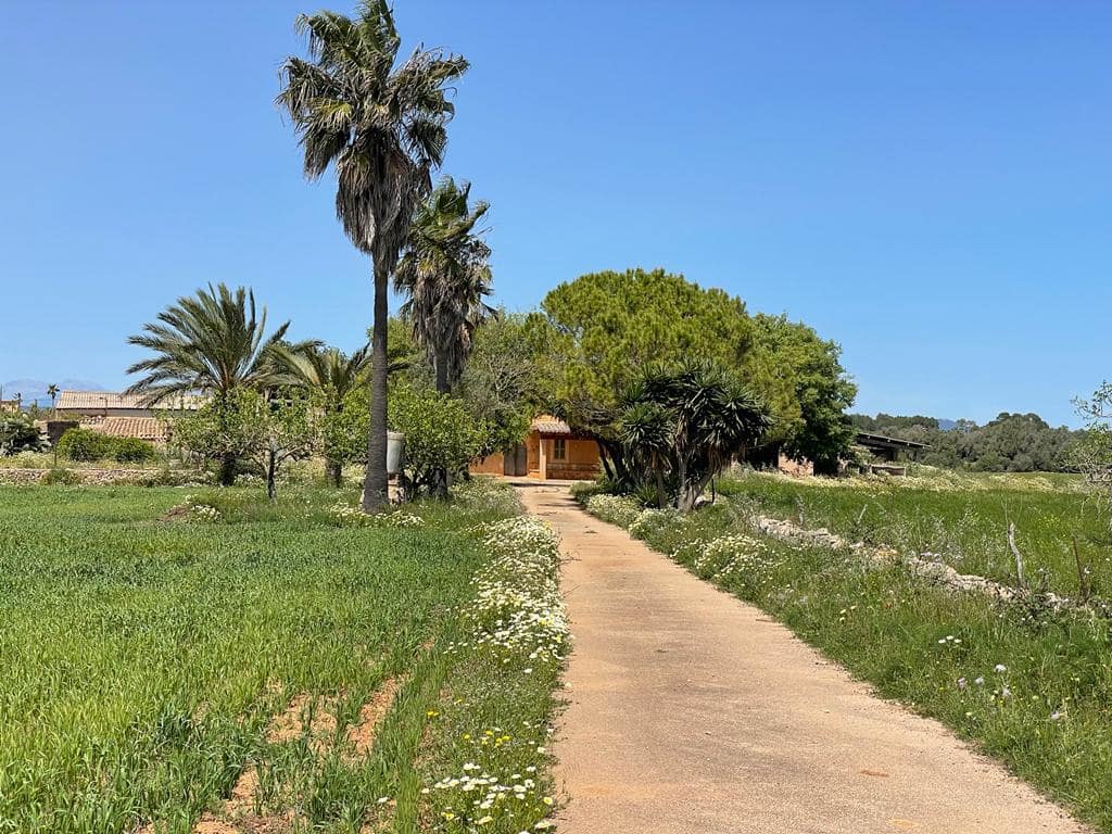 6 chambre Finca/Maison de Campagne à vendre à Felanitx avec garage - 1 900 000 € (Ref: 6826827)