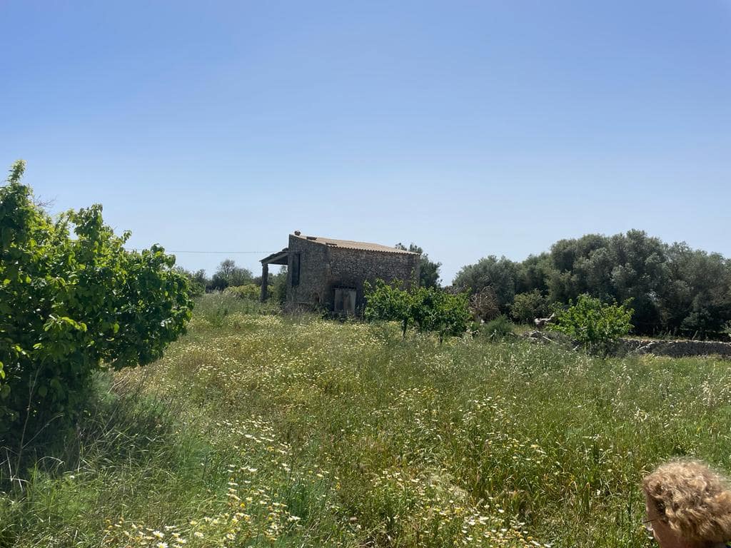 6 chambre Finca/Maison de Campagne à vendre à Felanitx avec garage - 1 900 000 € (Ref: 6826827)