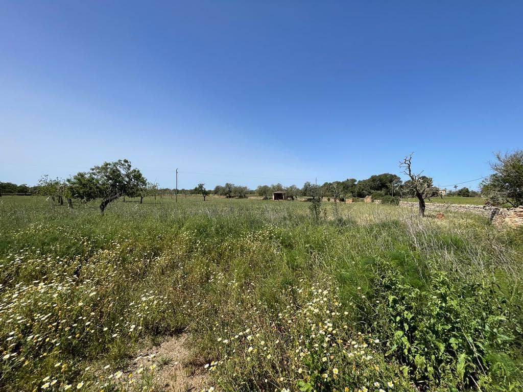 6 chambre Finca/Maison de Campagne à vendre à Felanitx avec garage - 1 900 000 € (Ref: 6826827)