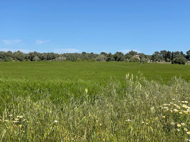 6 camera da letto Finca/Casa di Campagna in vendita in Felanitx con garage - 1.900.000 € (Rif: 6826827)