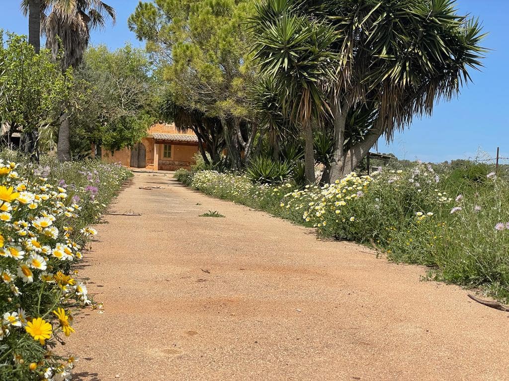 6 chambre Finca/Maison de Campagne à vendre à Felanitx avec garage - 1 900 000 € (Ref: 6826827)