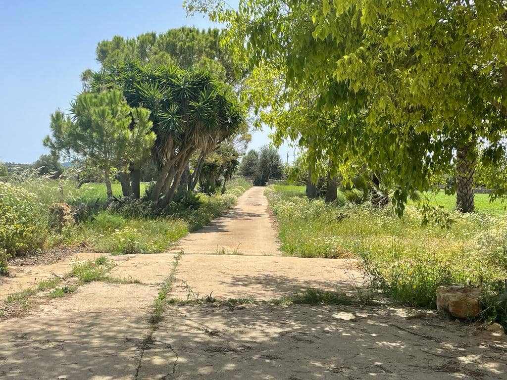 6 chambre Finca/Maison de Campagne à vendre à Felanitx avec garage - 1 900 000 € (Ref: 6826827)