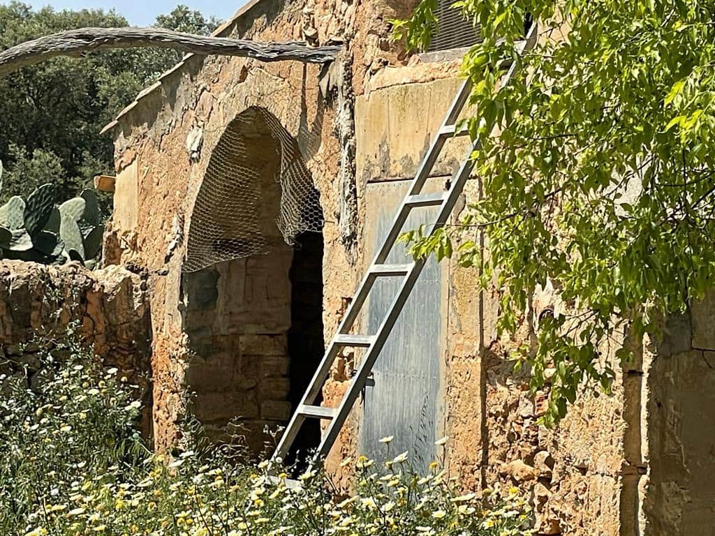 6 chambre Finca/Maison de Campagne à vendre à Felanitx avec garage - 1 900 000 € (Ref: 6826827)