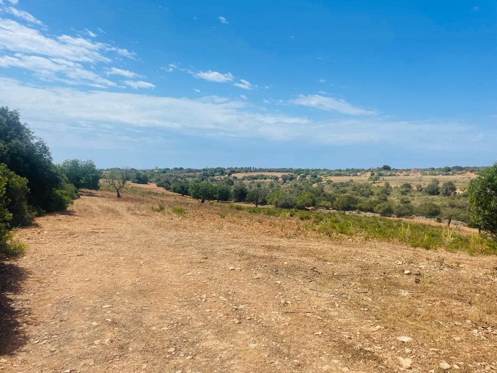 Undeveloped Land for sale in Manacor - € 636,000 (Ref: 6947033)
