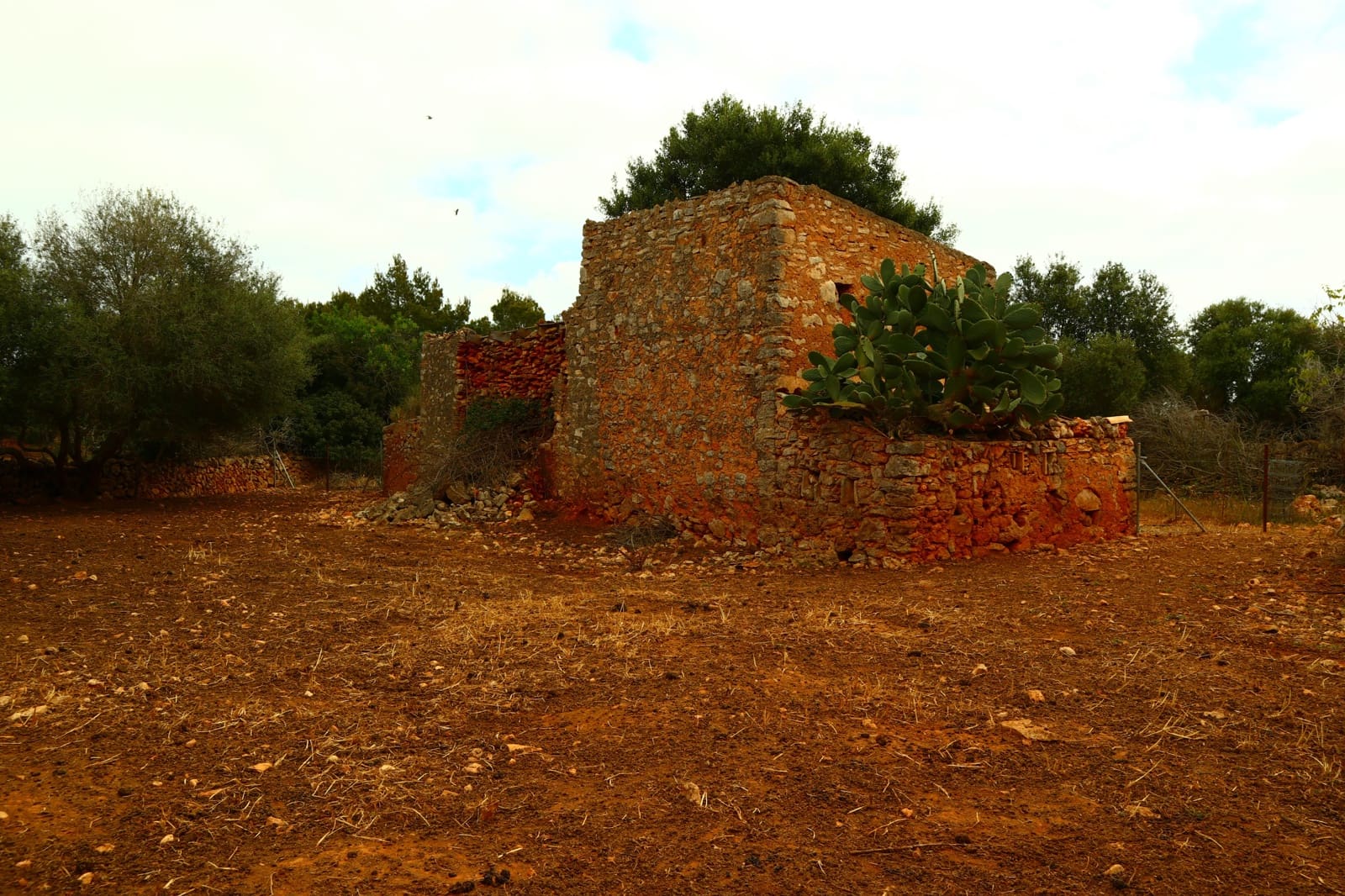 Undeveloped Land for sale in Manacor - € 636,000 (Ref: 6947033)