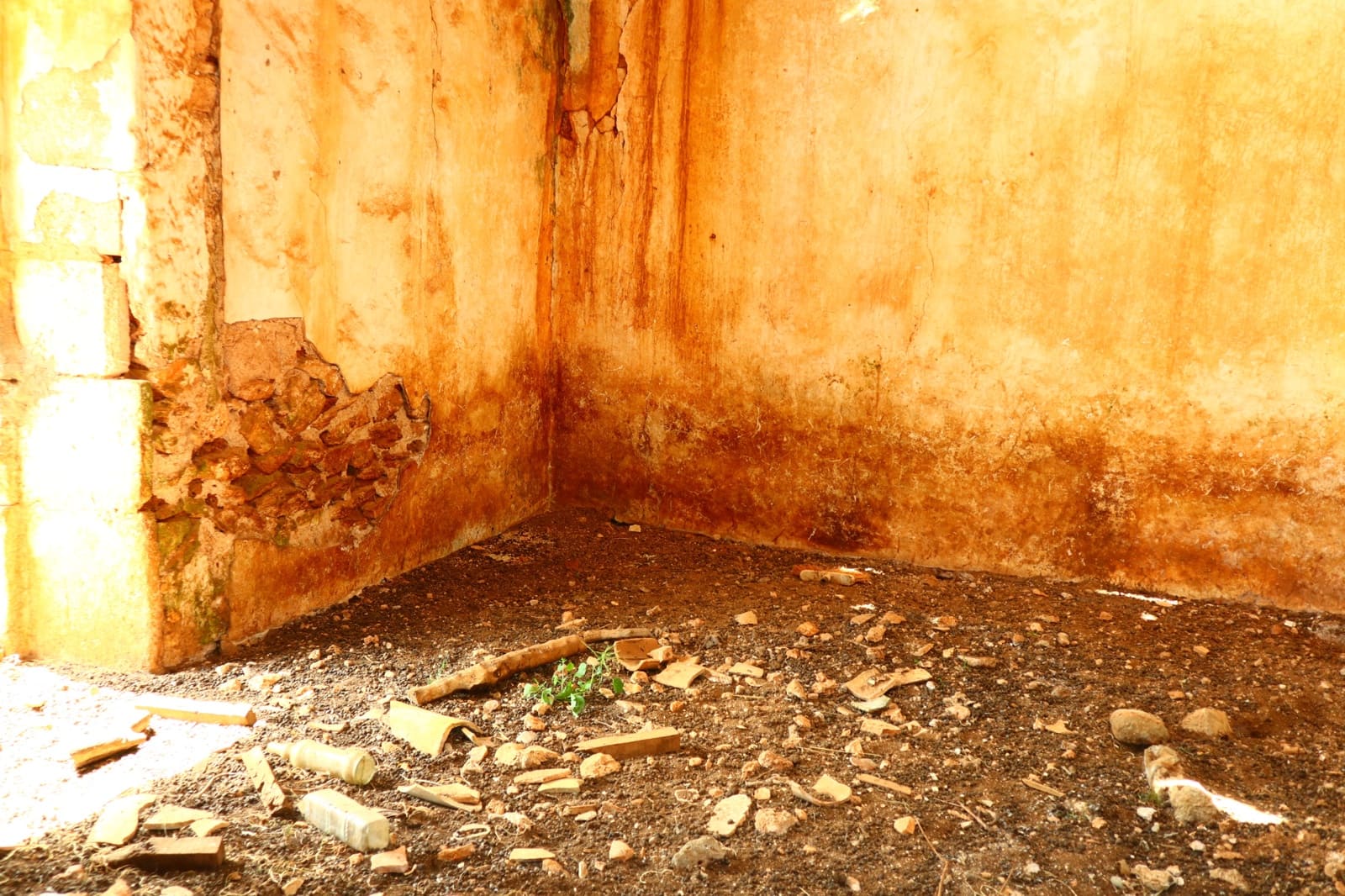 Undeveloped Land for sale in Manacor - € 636,000 (Ref: 6947033)