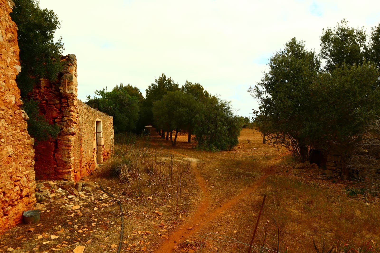 Undeveloped Land for sale in Manacor - € 636,000 (Ref: 6947033)