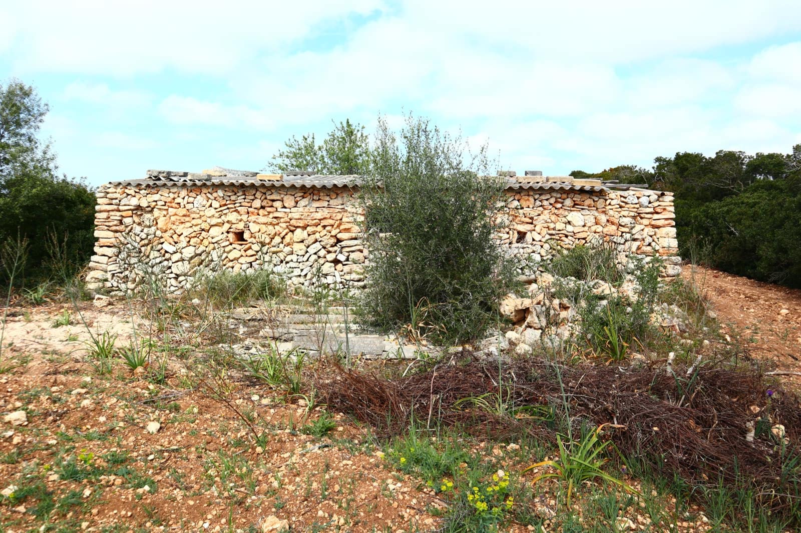 Undeveloped Land for sale in Manacor - € 636,000 (Ref: 6947033)