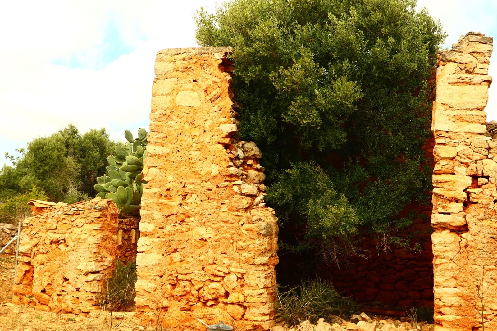 Undeveloped Land for sale in Manacor - € 636,000 (Ref: 6947033)