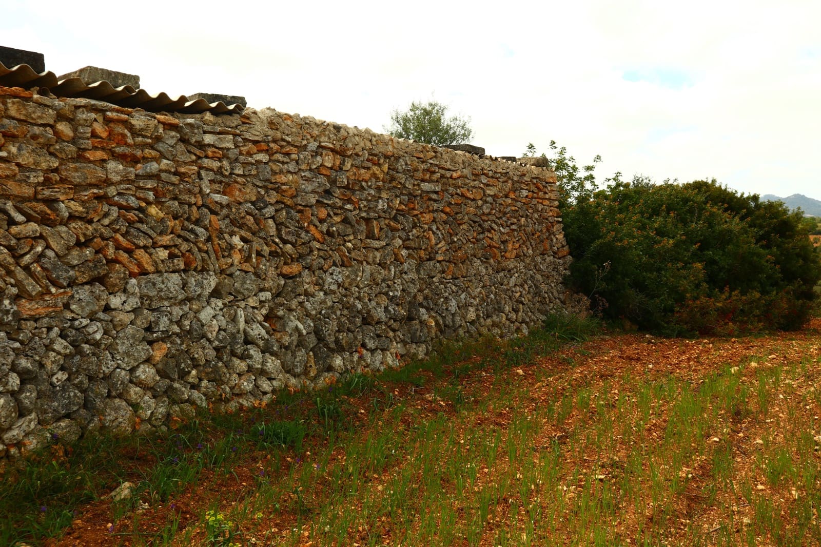 Undeveloped Land for sale in Manacor - € 636,000 (Ref: 6947033)