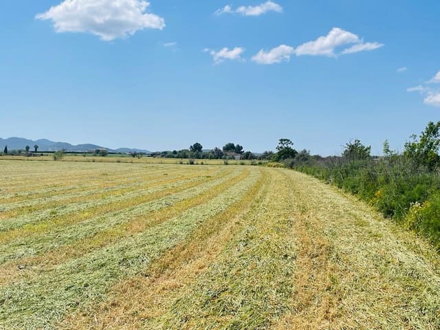 Grond te koop in Felanitx - € 138.000 (Ref: 6949197)