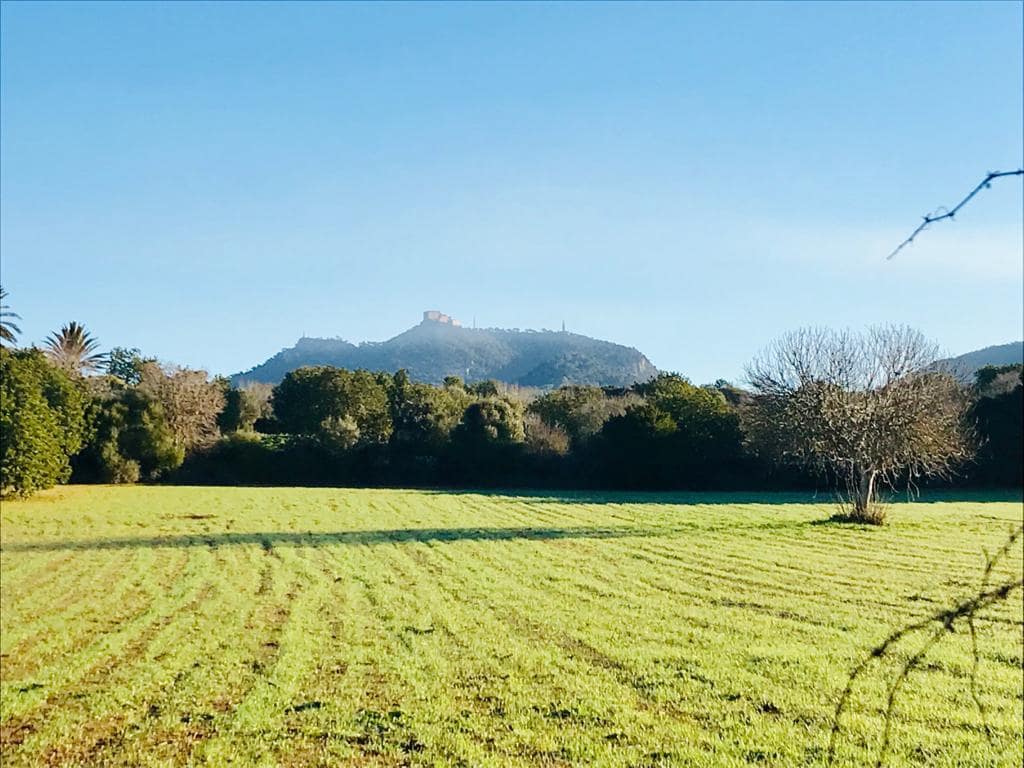 Ubebygd land til salgs i Felanitx - € 297 000 (Ref: 7016272)