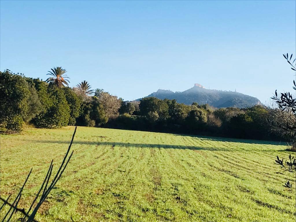 Ubebygd land til salgs i Felanitx - € 297 000 (Ref: 7016272)