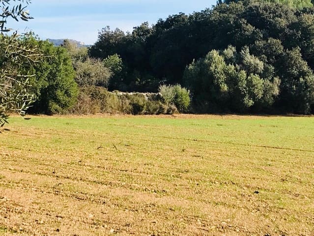 Terreno Não Urbanizado para venda em Felanitx - 297 000 € (Ref: 7016272)