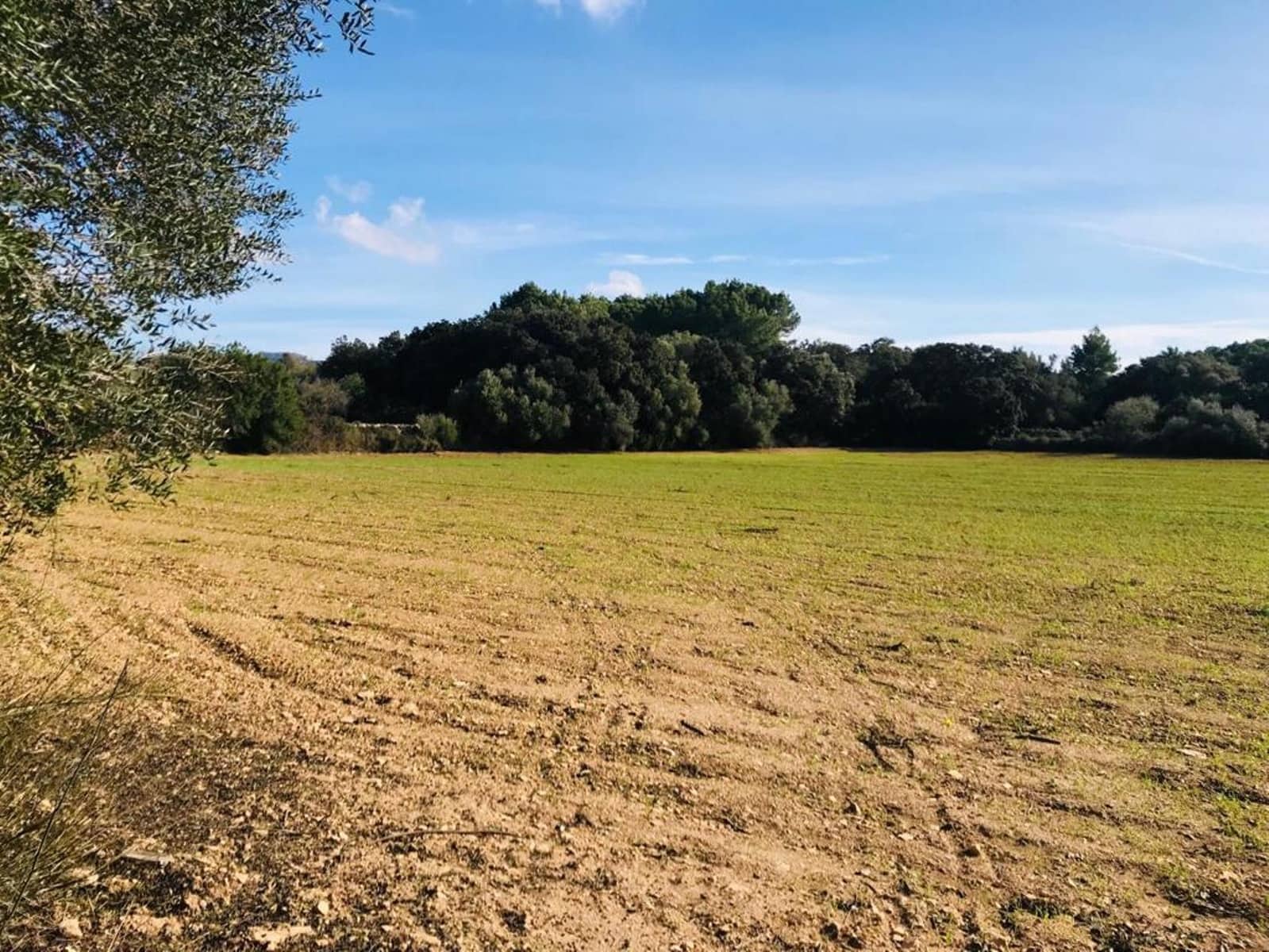 Ubebygd land til salgs i Felanitx - € 297 000 (Ref: 7016272)