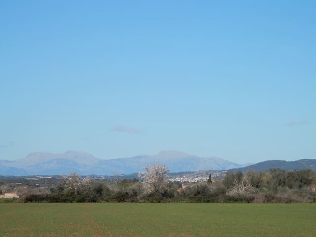 Teren niezagospodarowany na sprzedaż w Felanitx - 241 000 € (Ref: 7020519)