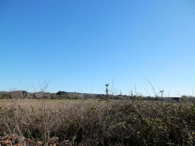 Teren niezagospodarowany na sprzedaż w Felanitx - 241 000 € (Ref: 7020519)