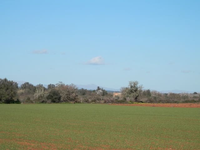 Teren niezagospodarowany na sprzedaż w Felanitx - 241 000 € (Ref: 7020519)