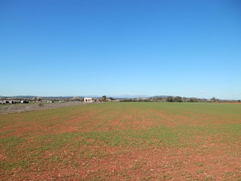 Teren niezagospodarowany na sprzedaż w Felanitx - 241 000 € (Ref: 7020519)