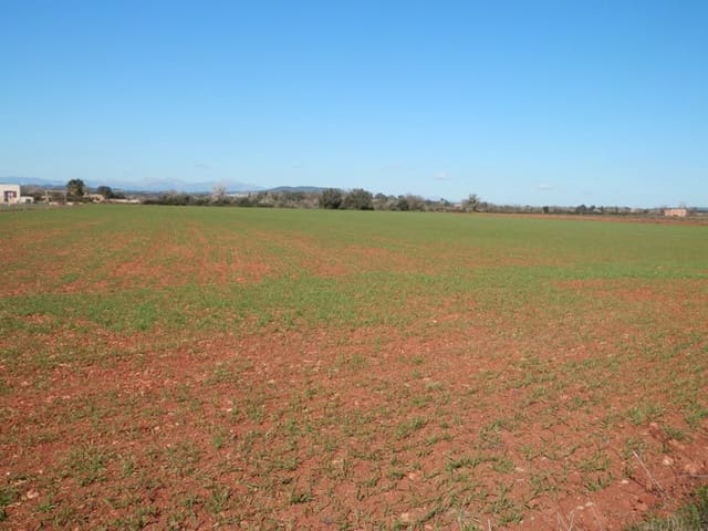 Teren niezagospodarowany na sprzedaż w Felanitx - 241 000 € (Ref: 7020519)