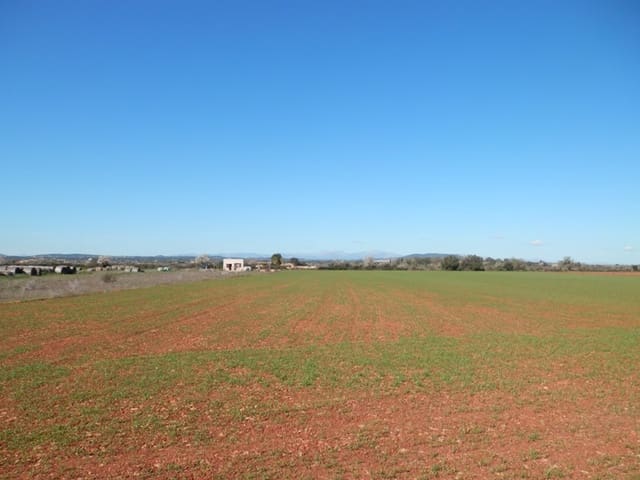 Teren niezagospodarowany na sprzedaż w Felanitx - 241 000 € (Ref: 7020519)