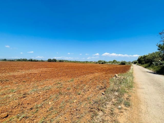 Teren niezagospodarowany na sprzedaż w Felanitx - 241 000 € (Ref: 7020519)