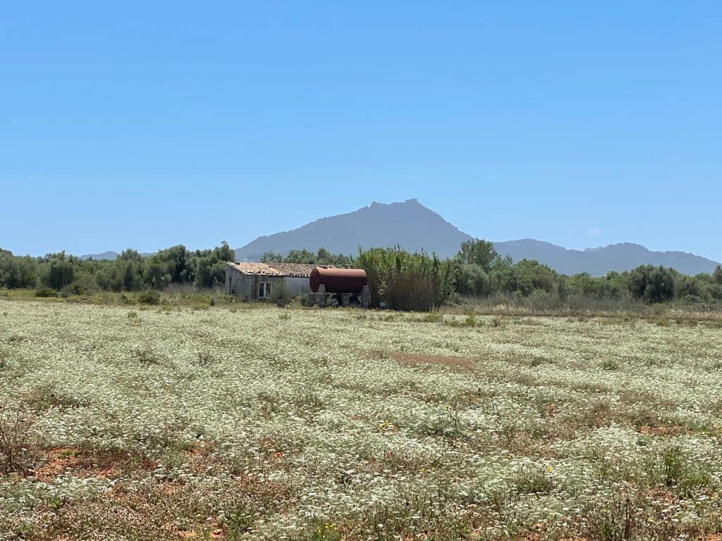 Teren niezagospodarowany na sprzedaż w Felanitx - 241 000 € (Ref: 7020519)