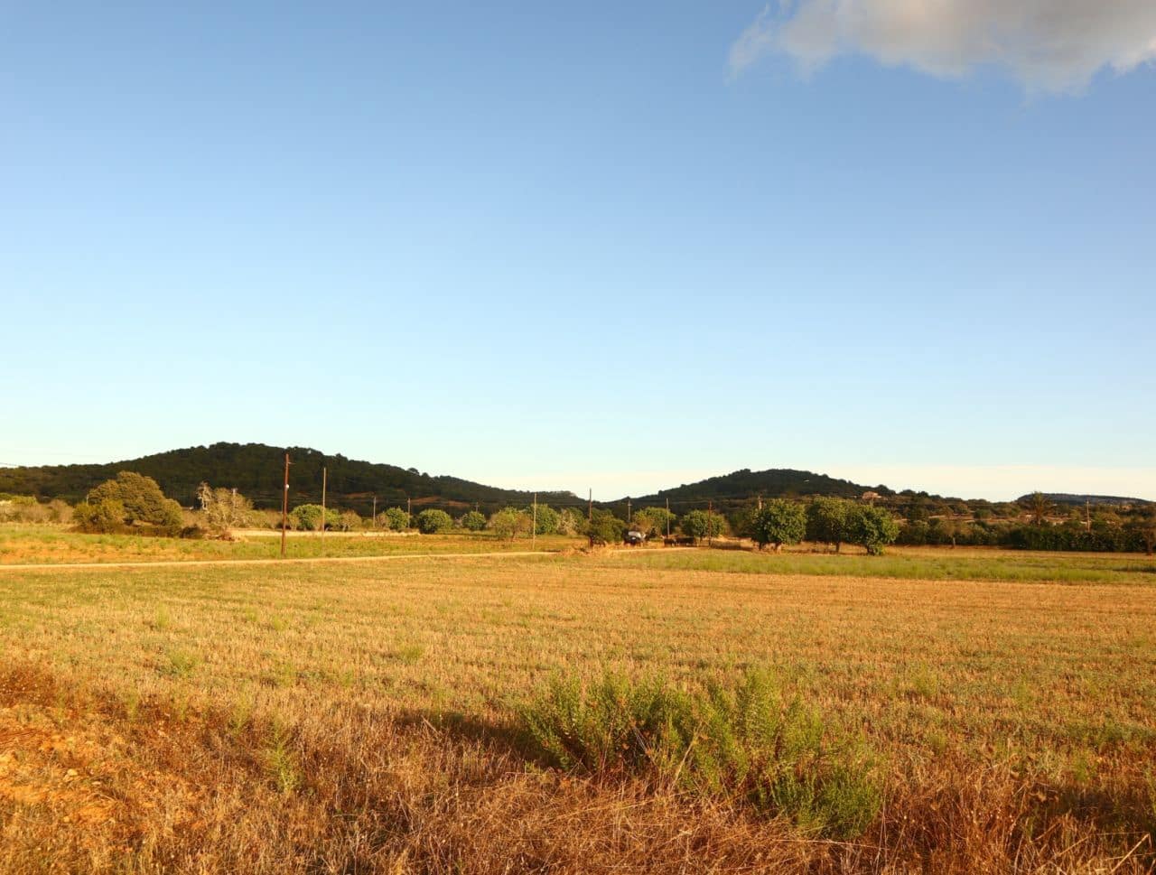 Teren niezagospodarowany na sprzedaż w Felanitx - 715 000 € (Ref: 7056427)