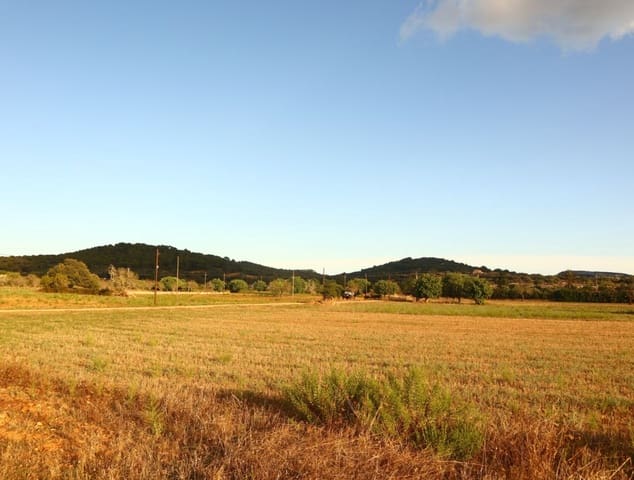 Terreno Não Urbanizado para venda em Felanitx - 715 000 € (Ref: 7056427)