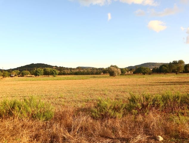 Terreno Não Urbanizado para venda em Felanitx - 715 000 € (Ref: 7056427)