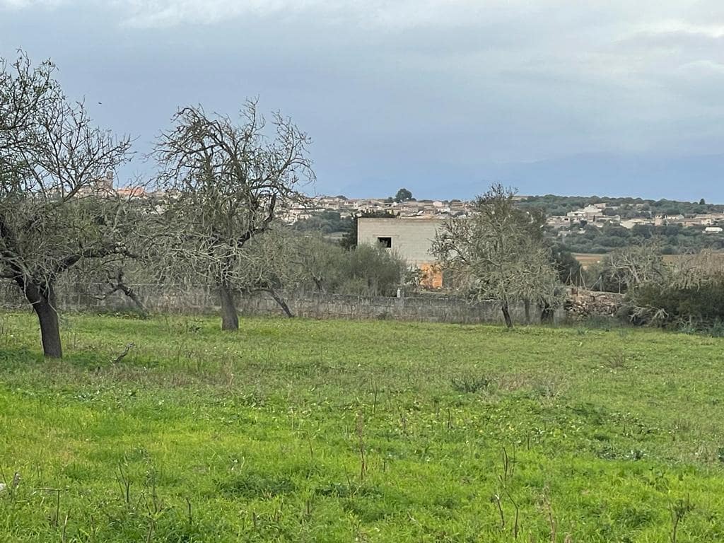 Grunde uden byggetilladelser til salg i Ariany - € 580.000 (Ref: 7442930)