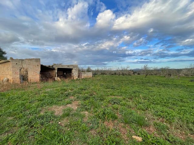 Mark till salu i Ariany - 580 000 € (Ref: 7442930)