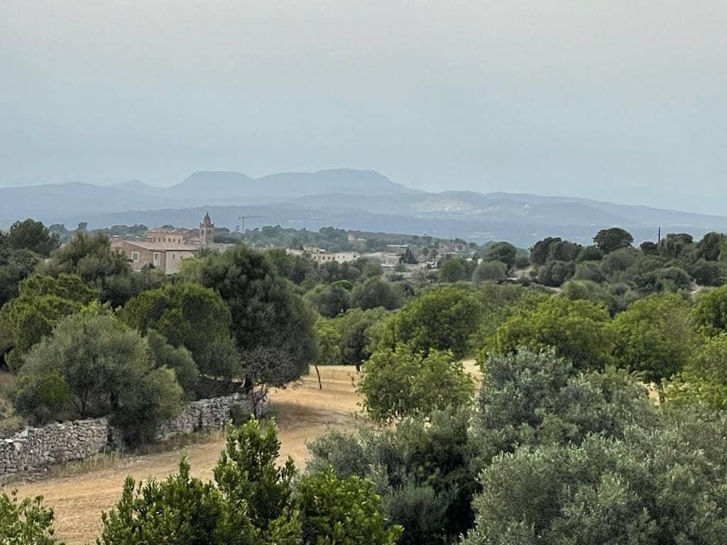 3 chambre Finca/Maison de Campagne à vendre à Cas Concos - 2 600 000 € (Ref: 7539473)