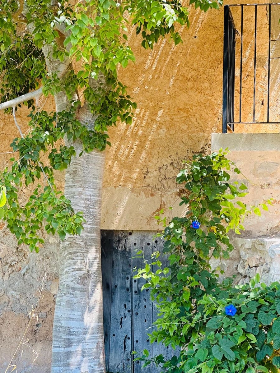 3 chambre Finca/Maison de Campagne à vendre à Cas Concos - 2 600 000 € (Ref: 7539473)