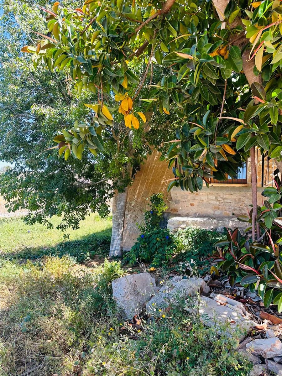 3 chambre Finca/Maison de Campagne à vendre à Cas Concos - 2 600 000 € (Ref: 7539473)