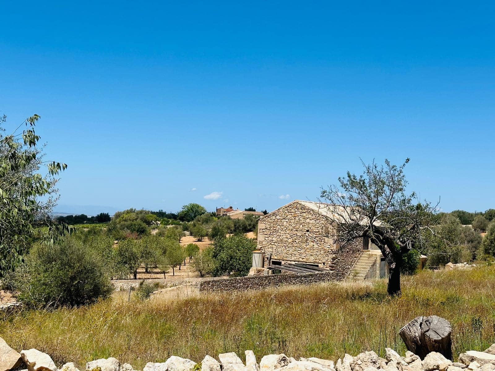 3 chambre Finca/Maison de Campagne à vendre à Cas Concos - 2 600 000 € (Ref: 7539473)