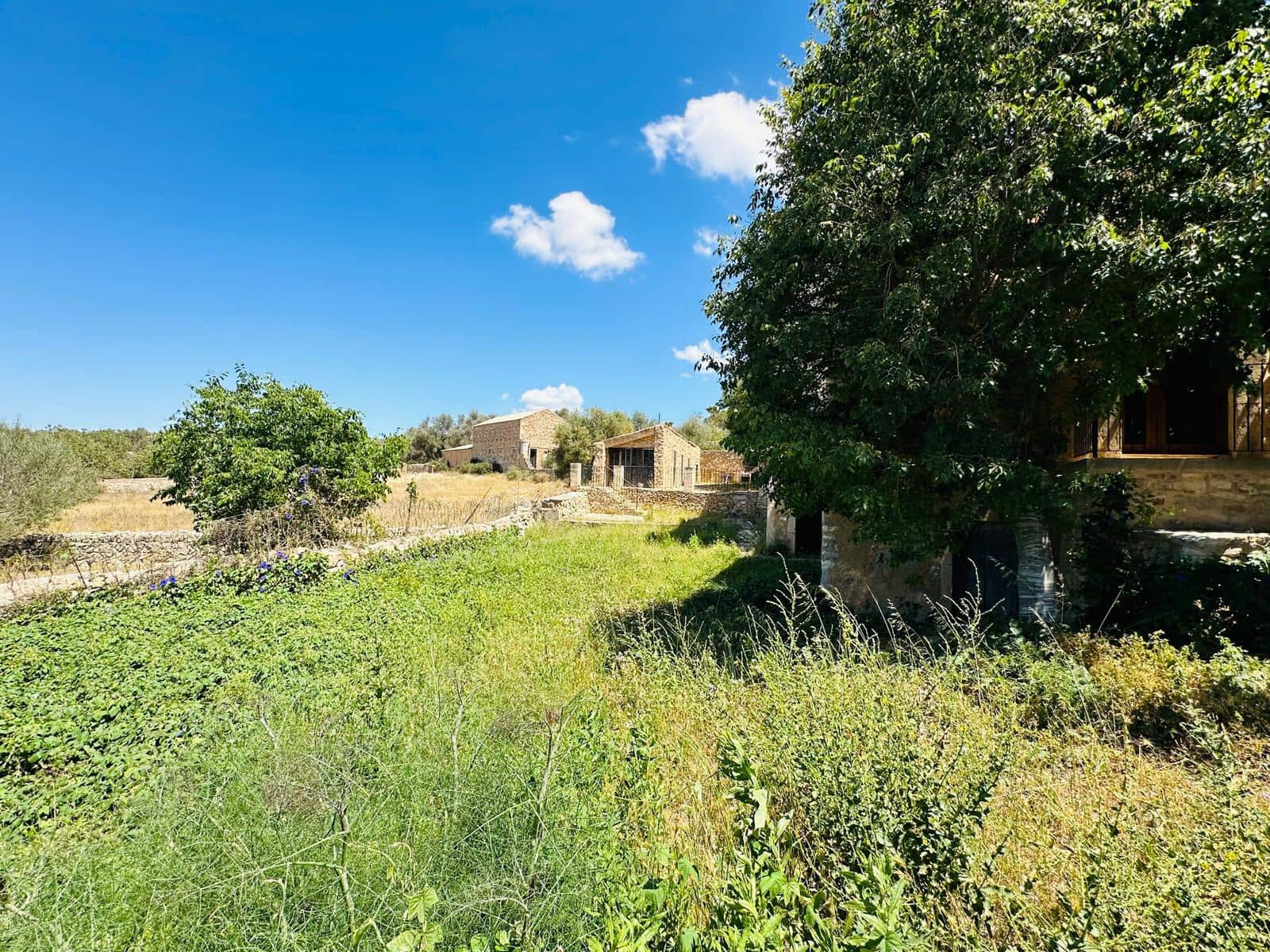 3 chambre Finca/Maison de Campagne à vendre à Cas Concos - 2 600 000 € (Ref: 7539473)