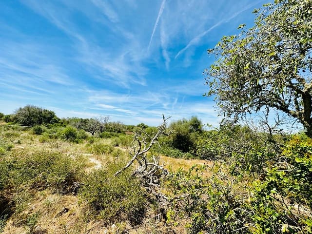 Undeveloped Land for sale in Santanyí - € 849,000 (Ref: 7574001)