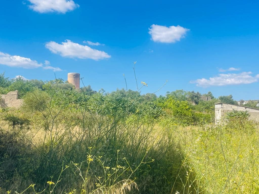 Area Edificabile in vendita in Felanitx - 750.000 € (Rif: 7585479)