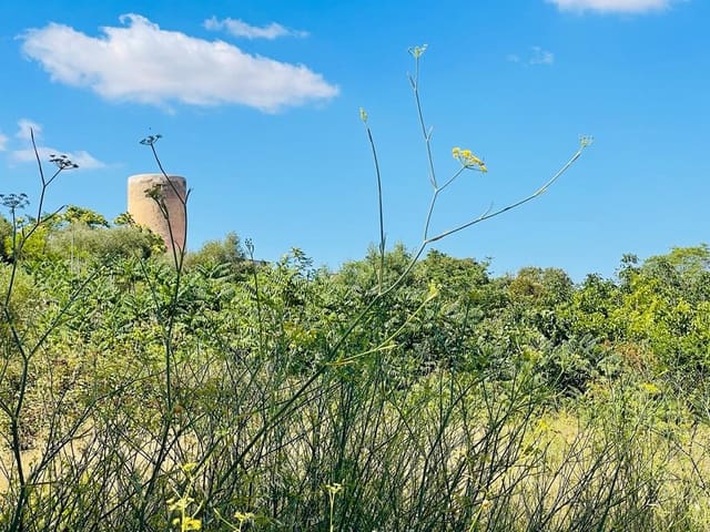 Area Edificabile in vendita in Felanitx - 750.000 € (Rif: 7585479)