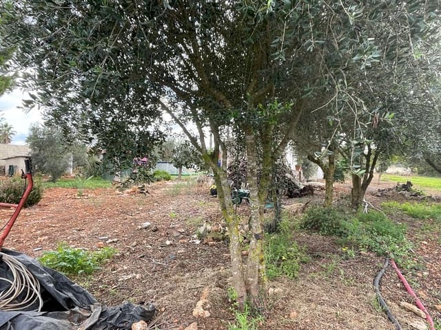 3 chambre Finca/Maison de Campagne à vendre à Felanitx - 645 000 € (Ref: 7673884)