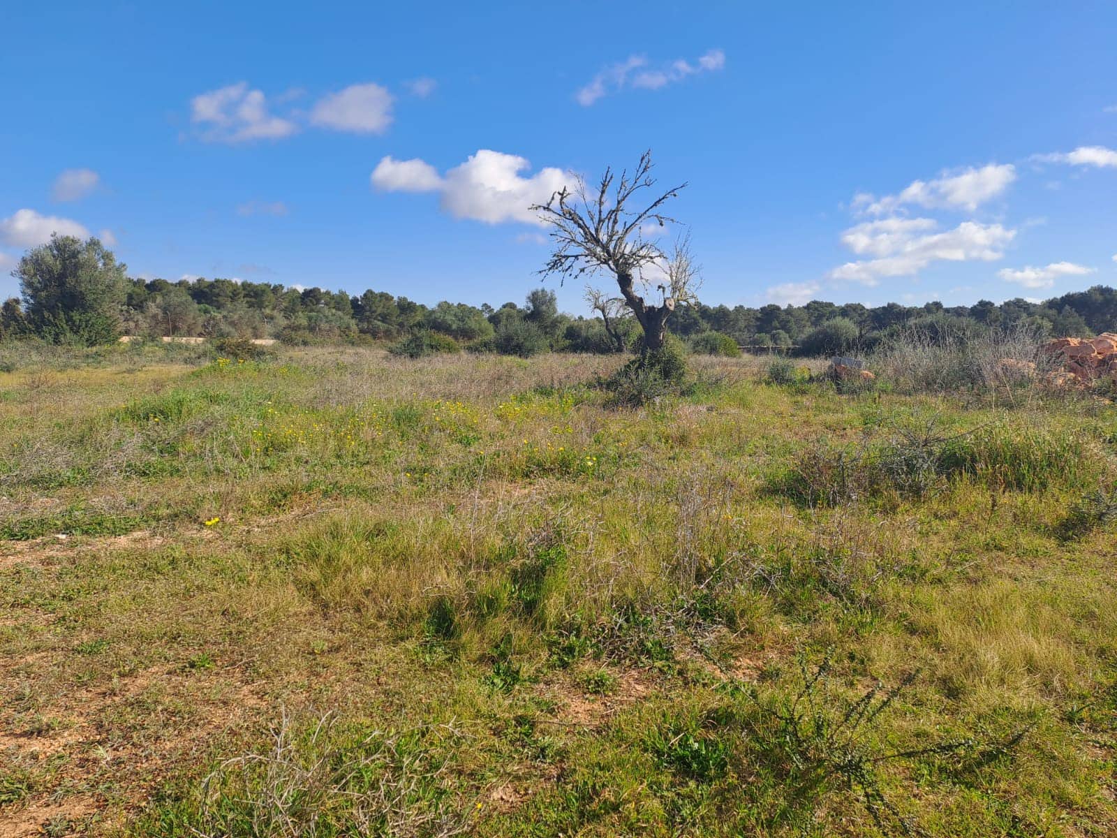 Grunde uden byggetilladelser til salg i Algaida - € 295.000 (Ref: 7713771)