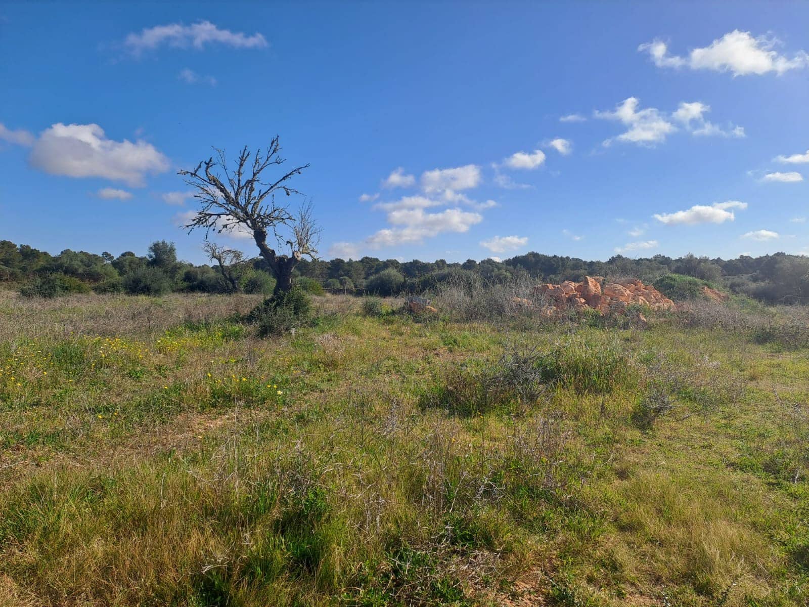 Grunde uden byggetilladelser til salg i Algaida - € 295.000 (Ref: 7713771)