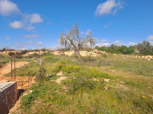 Mark till salu i Algaida - 295 000 € (Ref: 7713771)