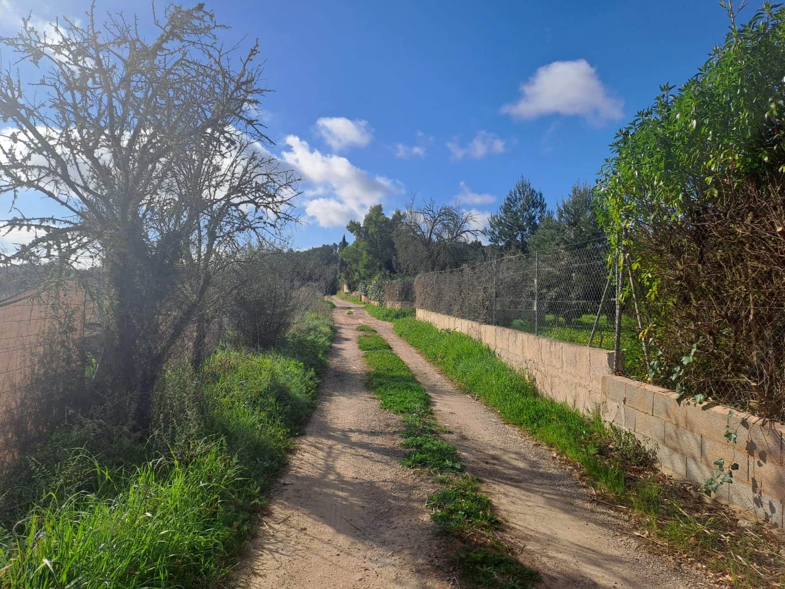 Grunde uden byggetilladelser til salg i Algaida - € 295.000 (Ref: 7713771)