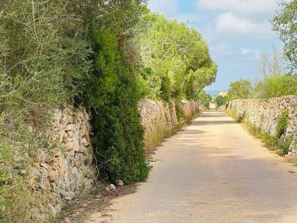 Grunde uden byggetilladelser til salg i Campos - € 340.000 (Ref: 7849914)