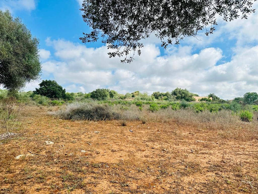 Grunde uden byggetilladelser til salg i Campos - € 340.000 (Ref: 7849914)