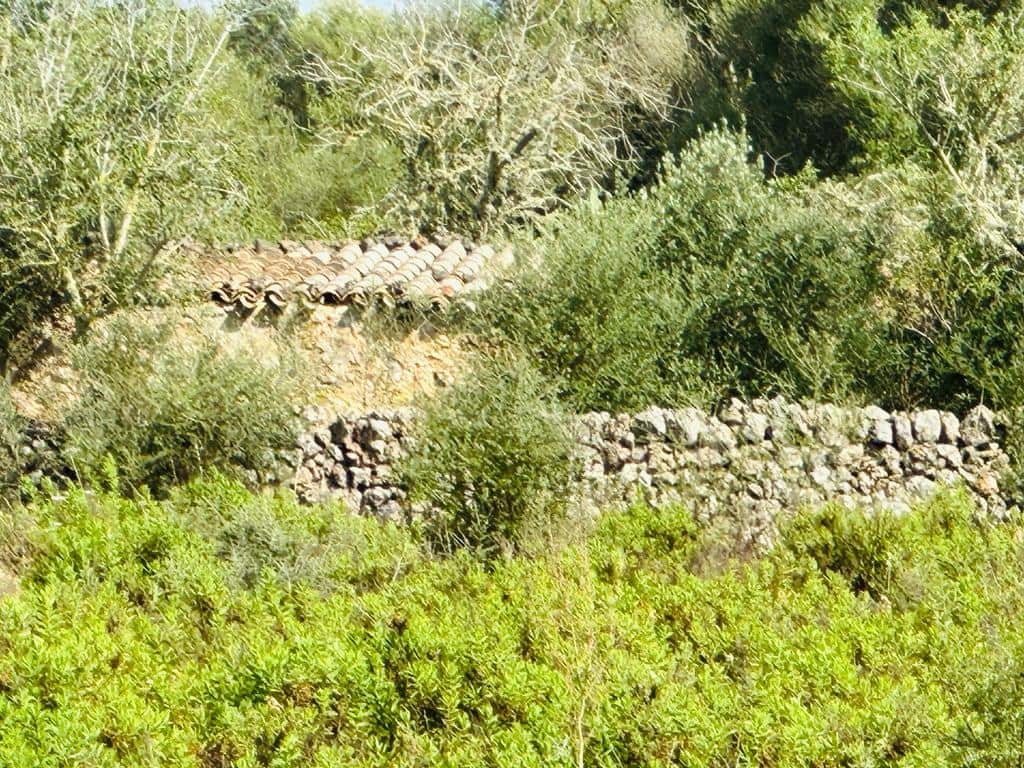 Grunde uden byggetilladelser til salg i Campos - € 340.000 (Ref: 7849914)